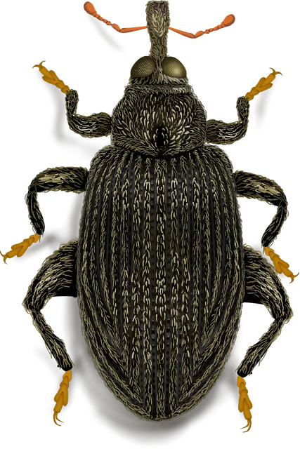 pest exterminator