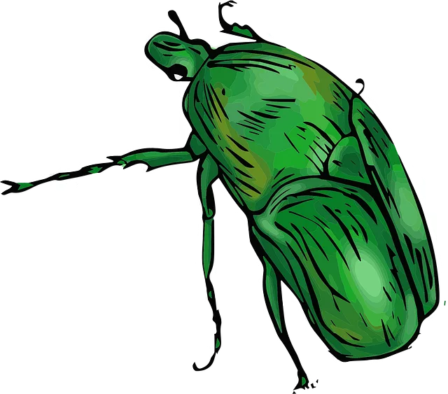 pest exterminator
