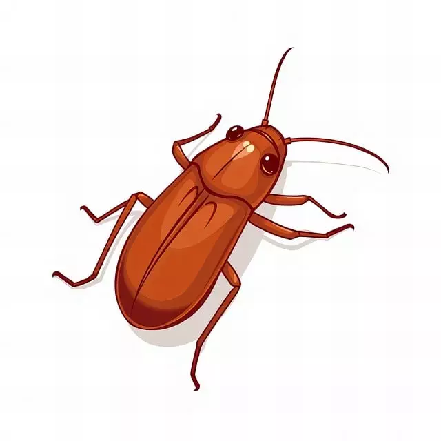 pest exterminator