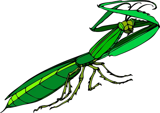 pest exterminator