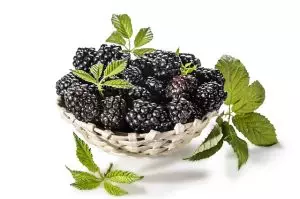 pure-cbd-isolate-640x480-66225893.jpeg