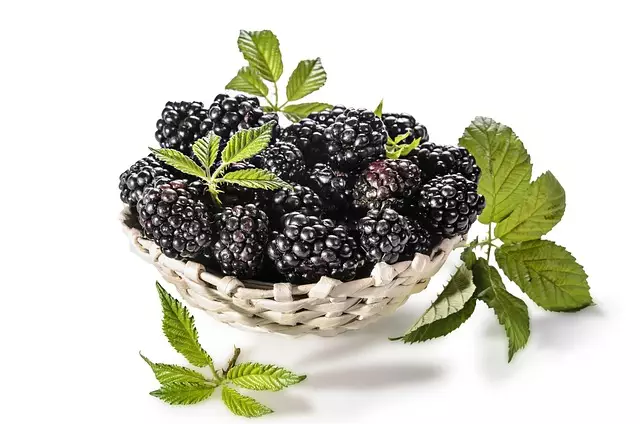 pure-cbd-isolate-640x480-66225893.jpeg