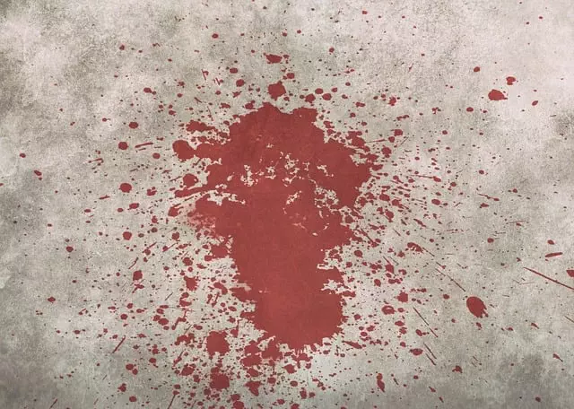 Remove Stains from Grout Lines