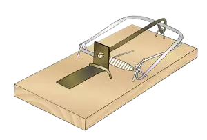 rodent-control-640x480-45077796.png
