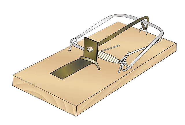 rodent-control-640x480-45077796.png