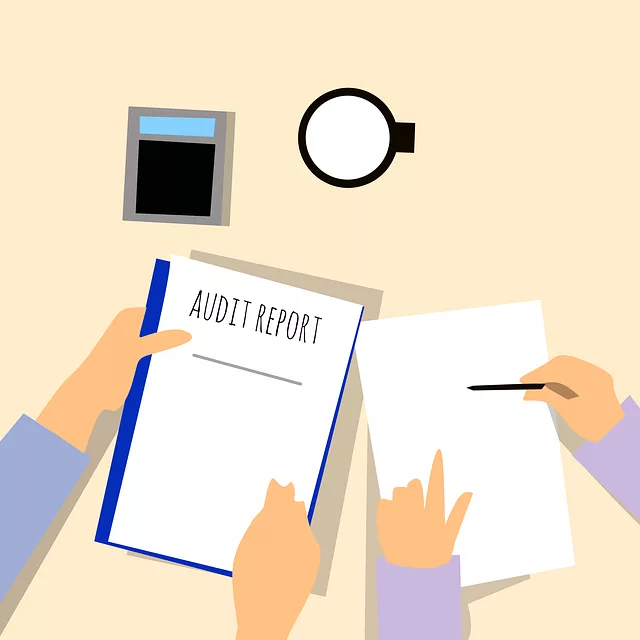 SEO Audit