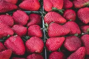 strawberry-rosin-gummies-640x480-40489008.jpeg