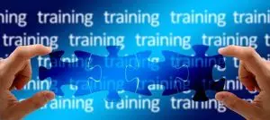 structured-data-training-640x480-92015225.jpeg