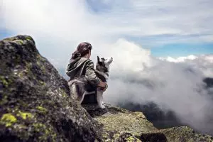 tactical-dog-harness-640x480-28102727.jpeg