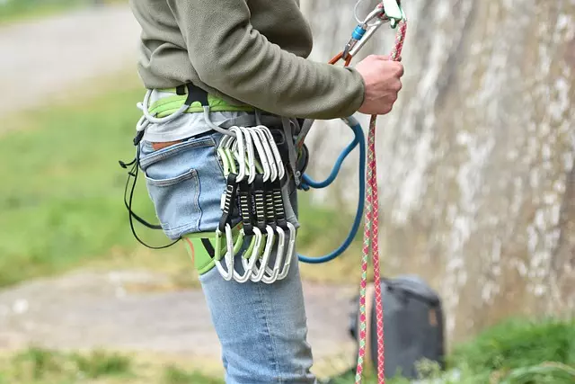 tactical dog harness