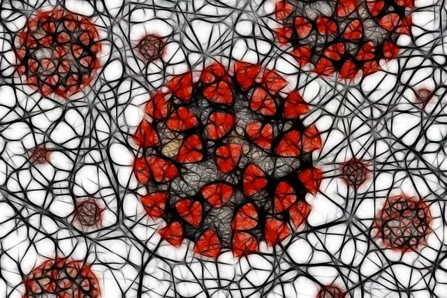 Understanding the Endocannabinoid System