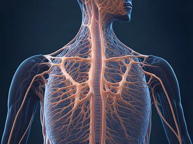 Understanding the Endocannabinoid System