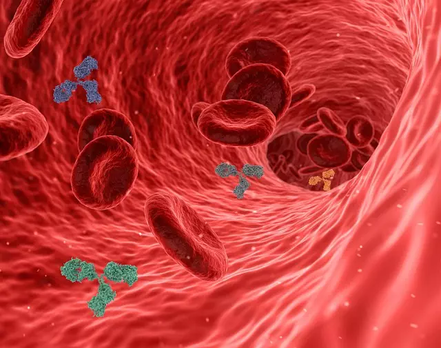 Understanding the Endocannabinoid System