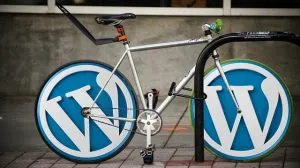 WordPress Design: Themes, Plugins, and Visual Foundation for Websites