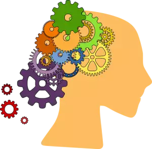 ai-seo-training-640x480-39633806.png