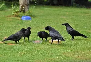 botox-for-crows-feet-and-smile-lines-640x480-1368593.jpeg