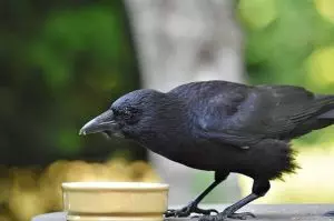 botox-for-crows-feet-and-smile-lines-640x480-28180119.jpeg