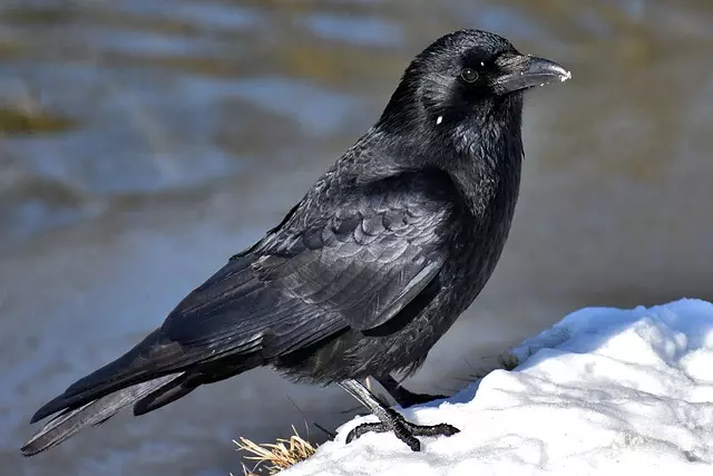 botox-for-crows-feet-and-smile-lines-640x480-44632542.jpeg