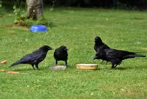 botox-for-crows-feet-and-smile-lines-640x480-90788089.jpeg