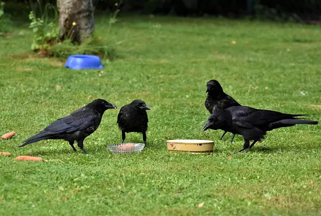botox-for-crows-feet-and-smile-lines-640x480-90788089.jpeg