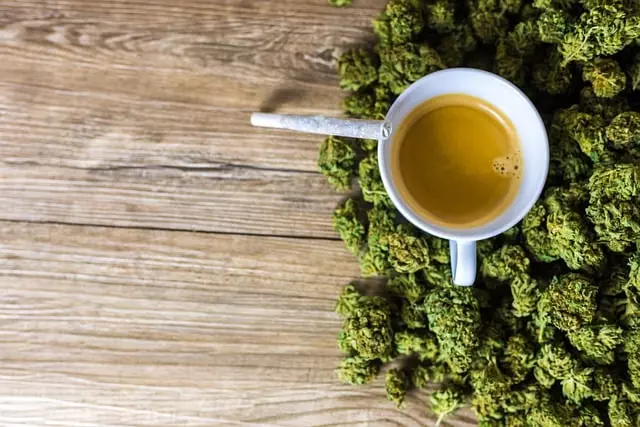 CBD Pain Relief Cream