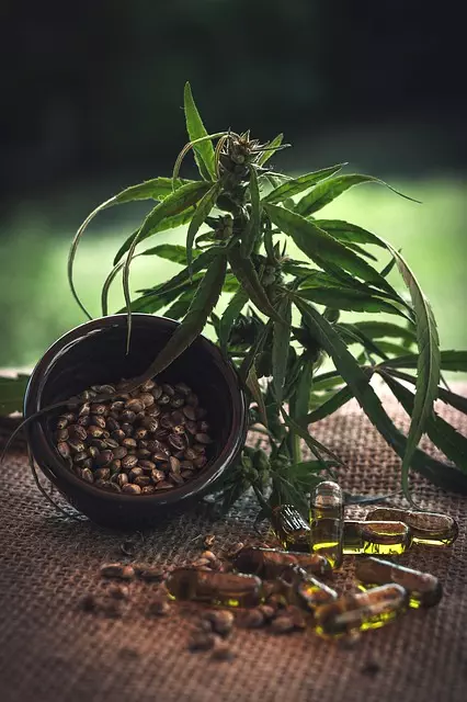 CBD Pain Relief Cream