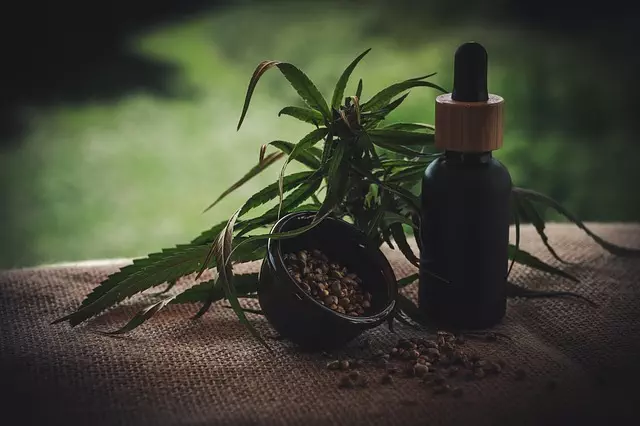 CBD Pain Relief Cream