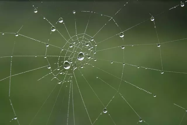 Core Web Vitals Optimization