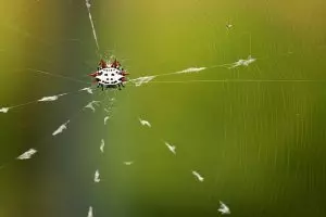 core-web-vitals-optimization-640x480-97994414.jpeg