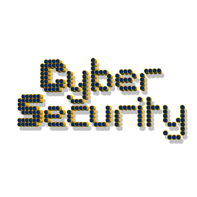 Cyber Insurance for Data Protection
