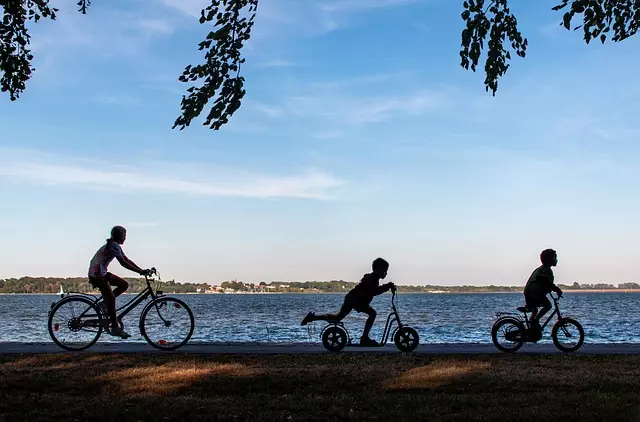 electric-scooters-for-adults-640x480-10509681.jpeg