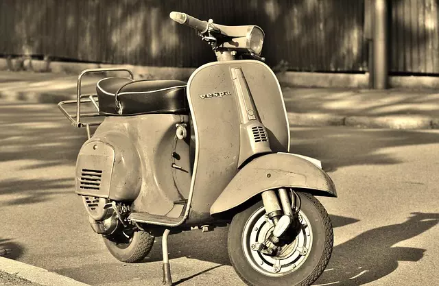 electric scooters for adults
