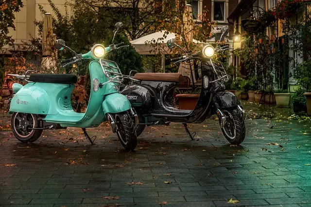 electric scooters for adults