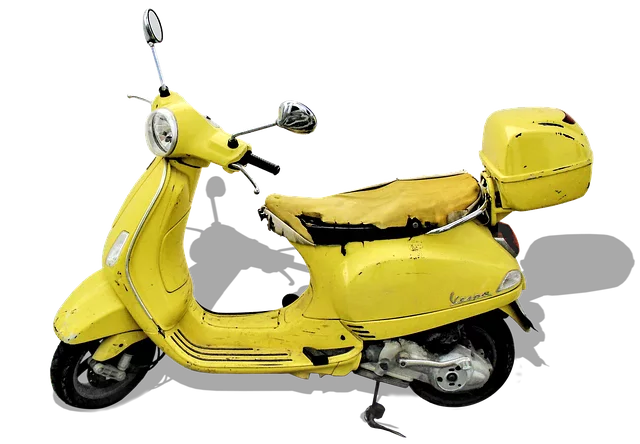 electric scooters for adults