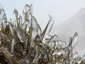 fat-cell-freezing-640x480-51208642.jpeg