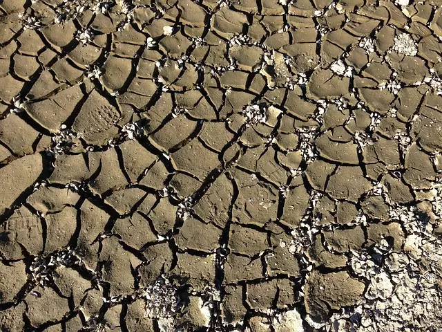 Foundation Repair: Fixing Small Cracks, Preventing Future Damage