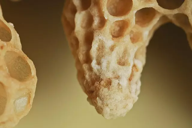 Freeze Fat Cells