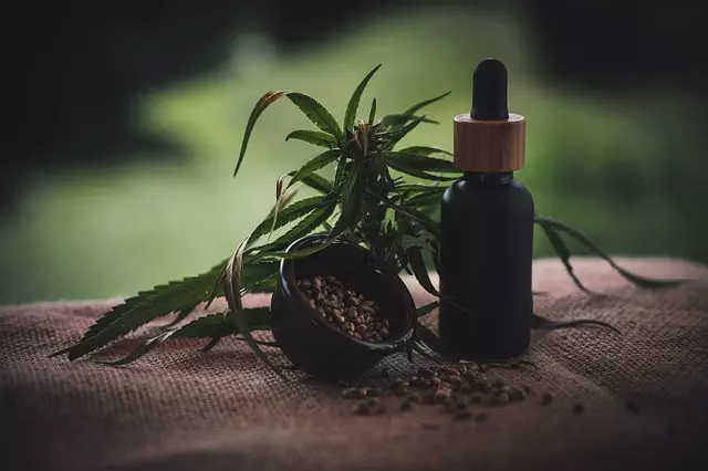 Full Spectrum CBD Gummies for Pain