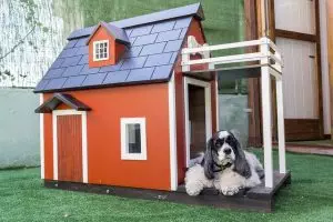heated-dog-house-640x480-60208118.jpeg