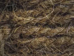 hemp-terpenes-for-sale-640x480-17748737.jpeg
