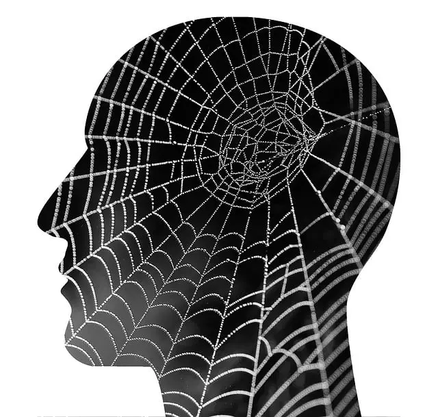 holistic mental health