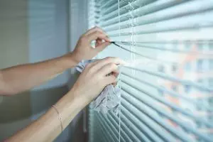 insect-control-services-640x480-21280224.jpeg