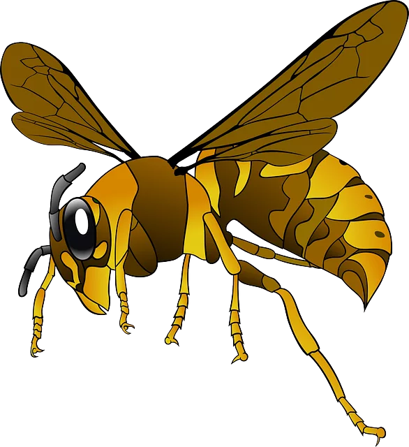 insect-control-services-640x480-83153653.png