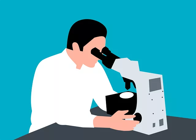 Keyword Research and Optimization