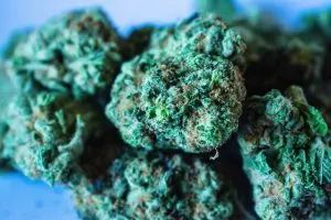 ko-blend-thc-disposable-640x480-97705602.jpeg