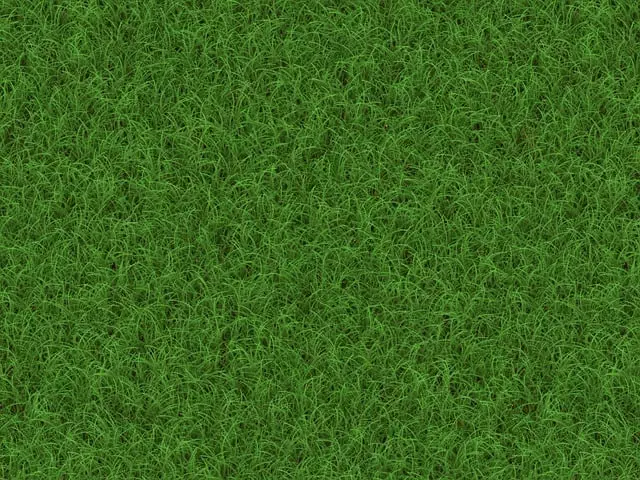 Lawn Care