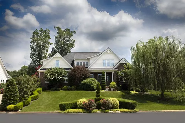 Lawn Care