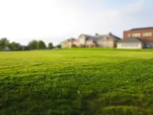 lawn-care-640x480-67786920.jpeg