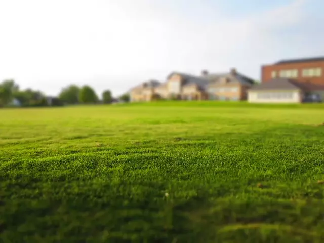 lawn-care-640x480-67786920.jpeg