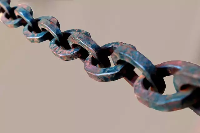 Link Building
